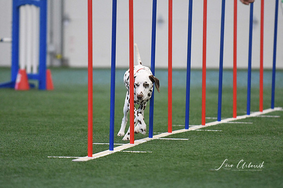 DigitalDSC_1326