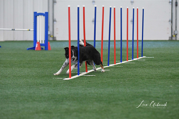 DigitalDSC_1349
