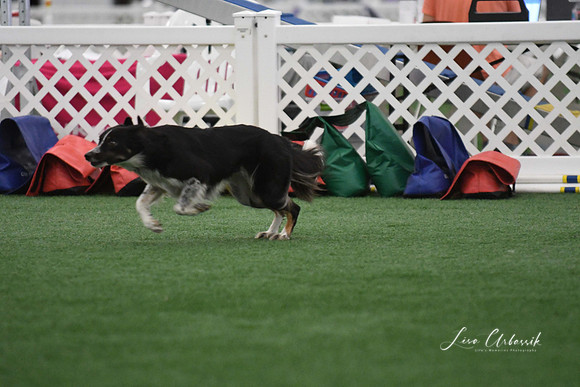 DigitalDSC_1335