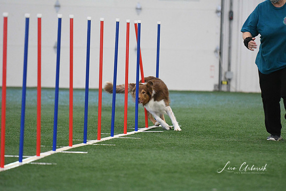 DigitalDSC_1380