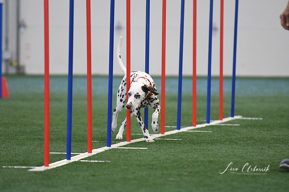 DigitalDSC_1323
