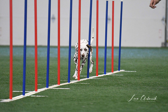 DigitalDSC_1318