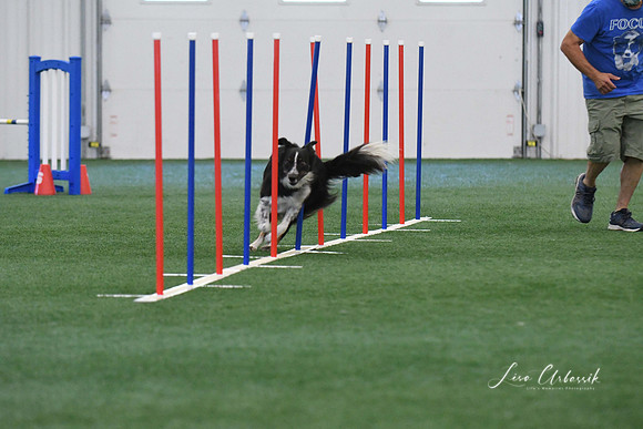 DigitalDSC_1344