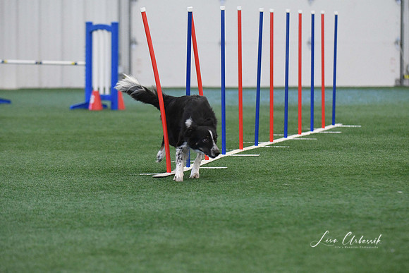DigitalDSC_1351