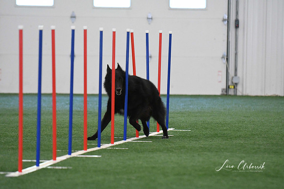 DigitalDSC_1297