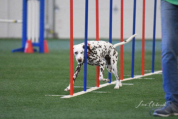 DigitalDSC_1329