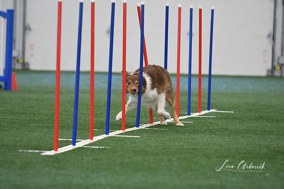 DigitalDSC_1386