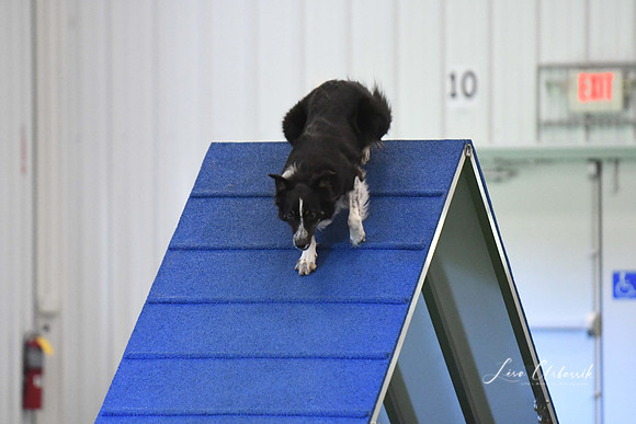 DigitalDSC_1353