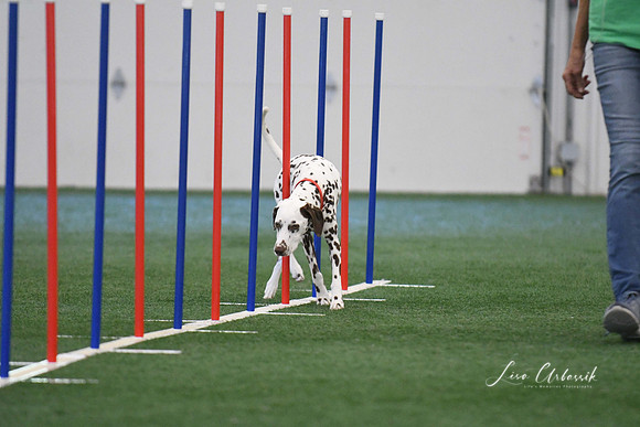 DigitalDSC_1316