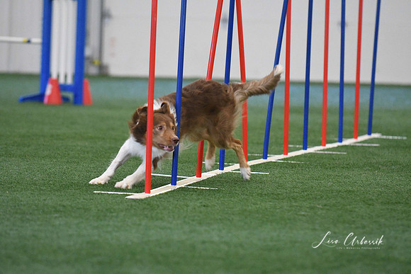 DigitalDSC_1392