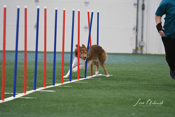 DigitalDSC_1381