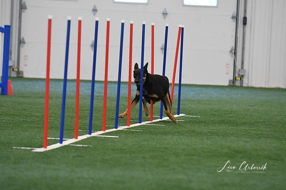 DigitalDSC_1408