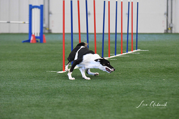 DigitalDSC_1361