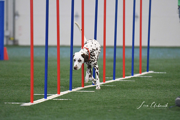 DigitalDSC_1324