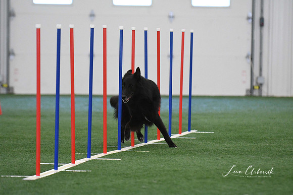 DigitalDSC_1299