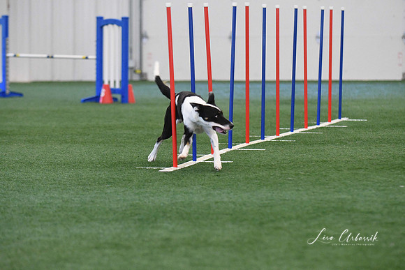 DigitalDSC_1359