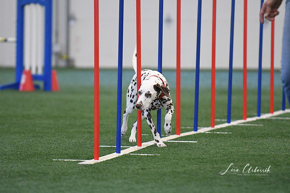 DigitalDSC_1327