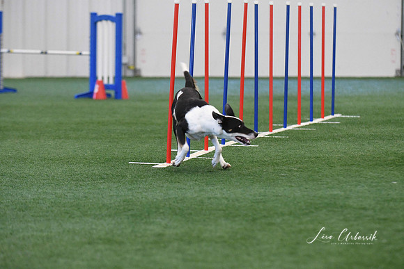 DigitalDSC_1360