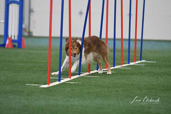 DigitalDSC_1389