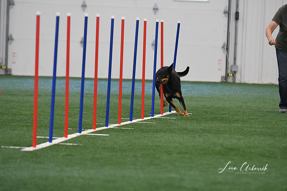 DigitalDSC_1404