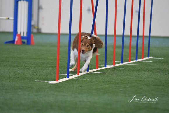 DigitalDSC_1390