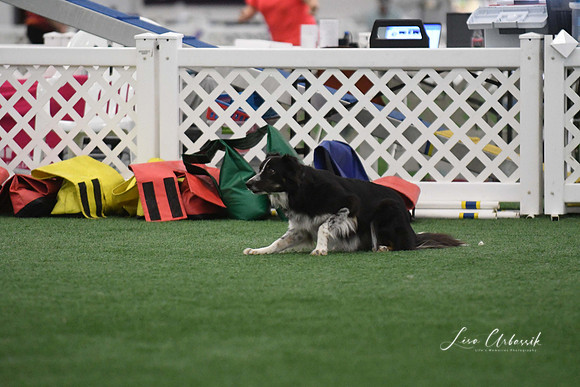 DigitalDSC_1334