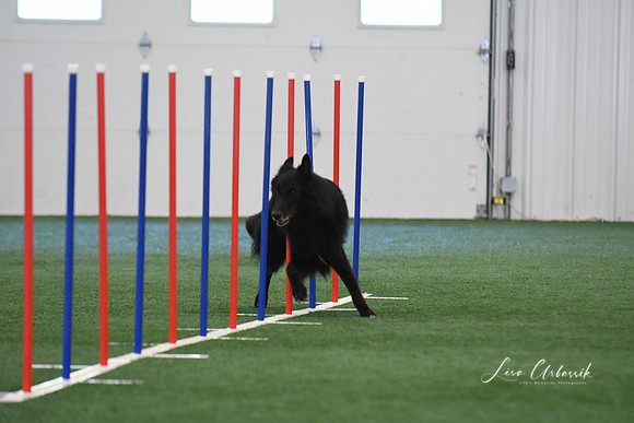 DigitalDSC_1296