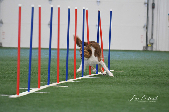 DigitalDSC_1383