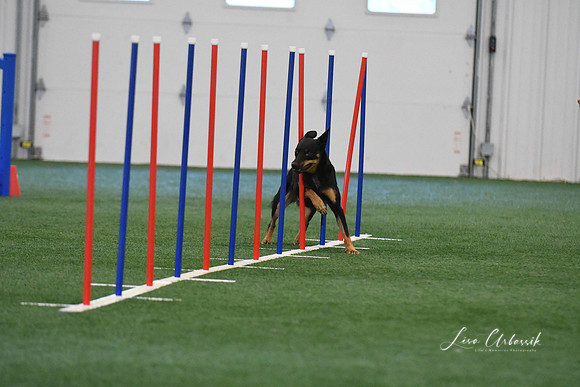 DigitalDSC_1407