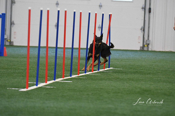 DigitalDSC_1406