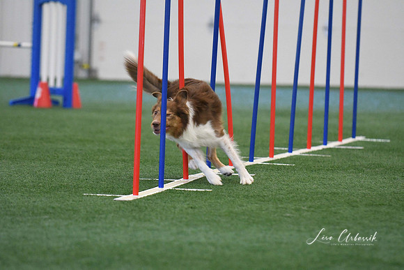 DigitalDSC_1391
