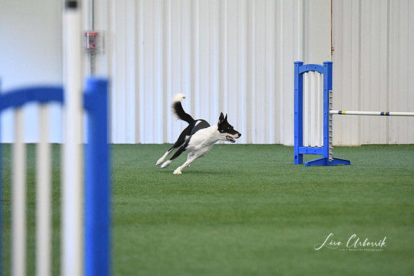 DigitalDSC_1367