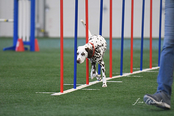 DigitalDSC_1328