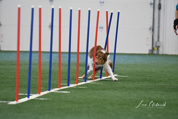 DigitalDSC_1382