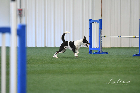 DigitalDSC_1368