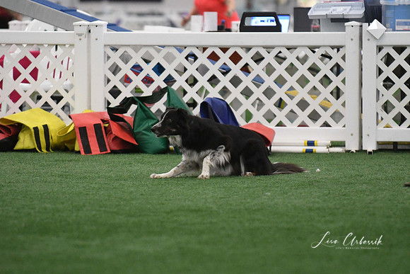 DigitalDSC_1333