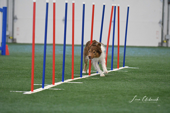 DigitalDSC_1385