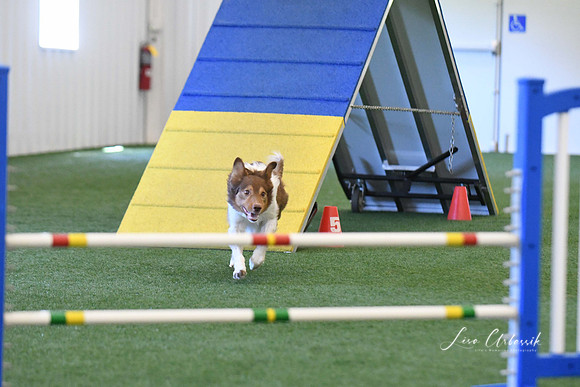 DigitalDSC_1402