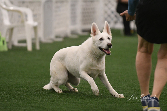 DSC_5916