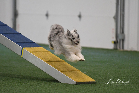 DSC_9427