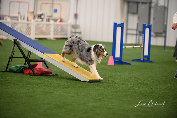 LMP_3540