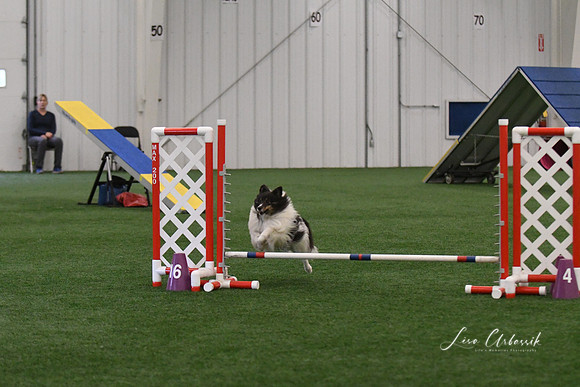 DSC_5666
