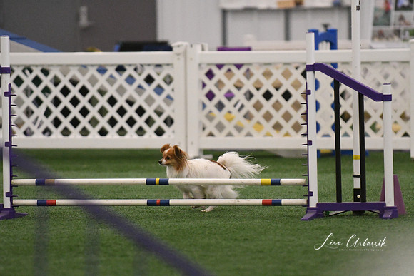 DSC_4982