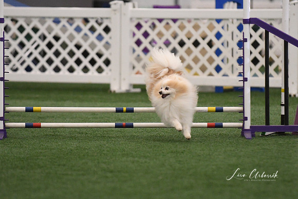 DSC_4333
