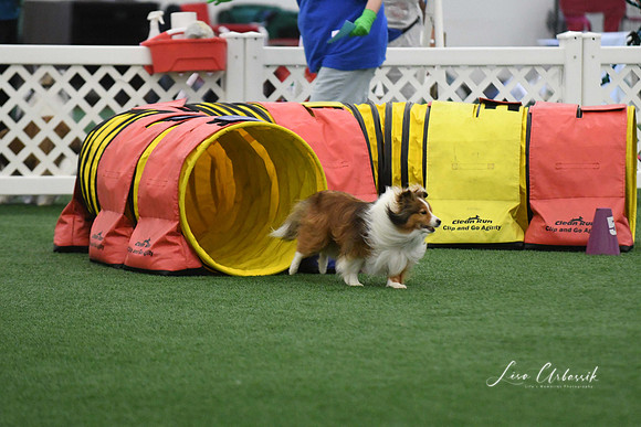 DigitalDSC_5960