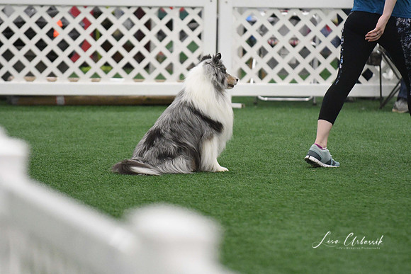 DigitalDSC_5996