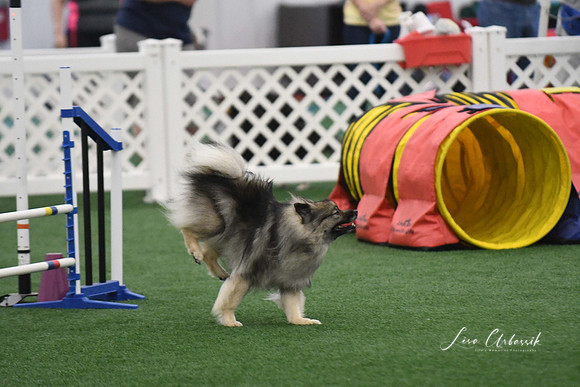DigitalDSC_6041
