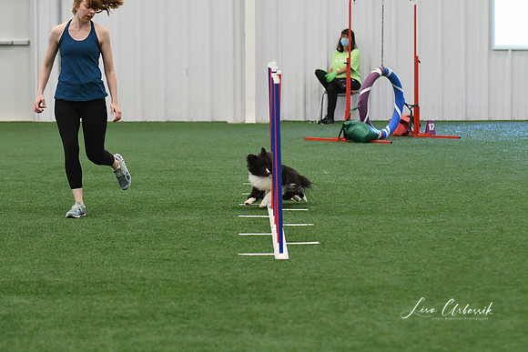 DigitalDSC_5918