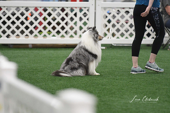 DigitalDSC_5995