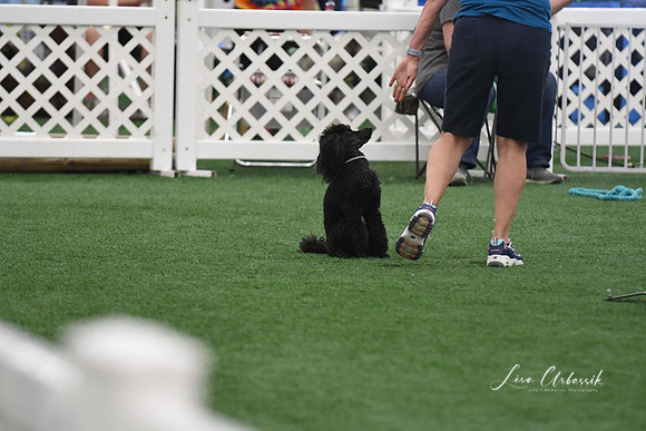 DigitalDSC_5942